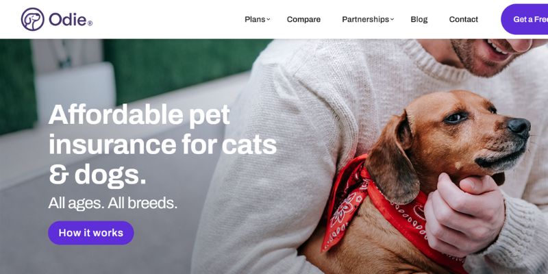 pet insurance affiliate programs 10