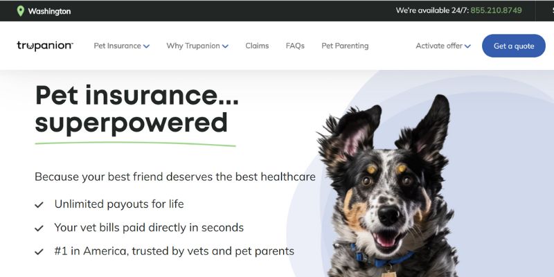 pet insurance affiliate programs 4