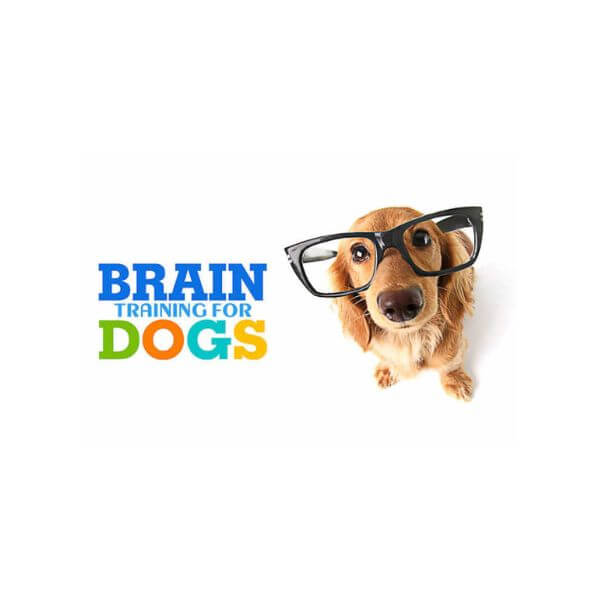 brain training for dogs affiliate program